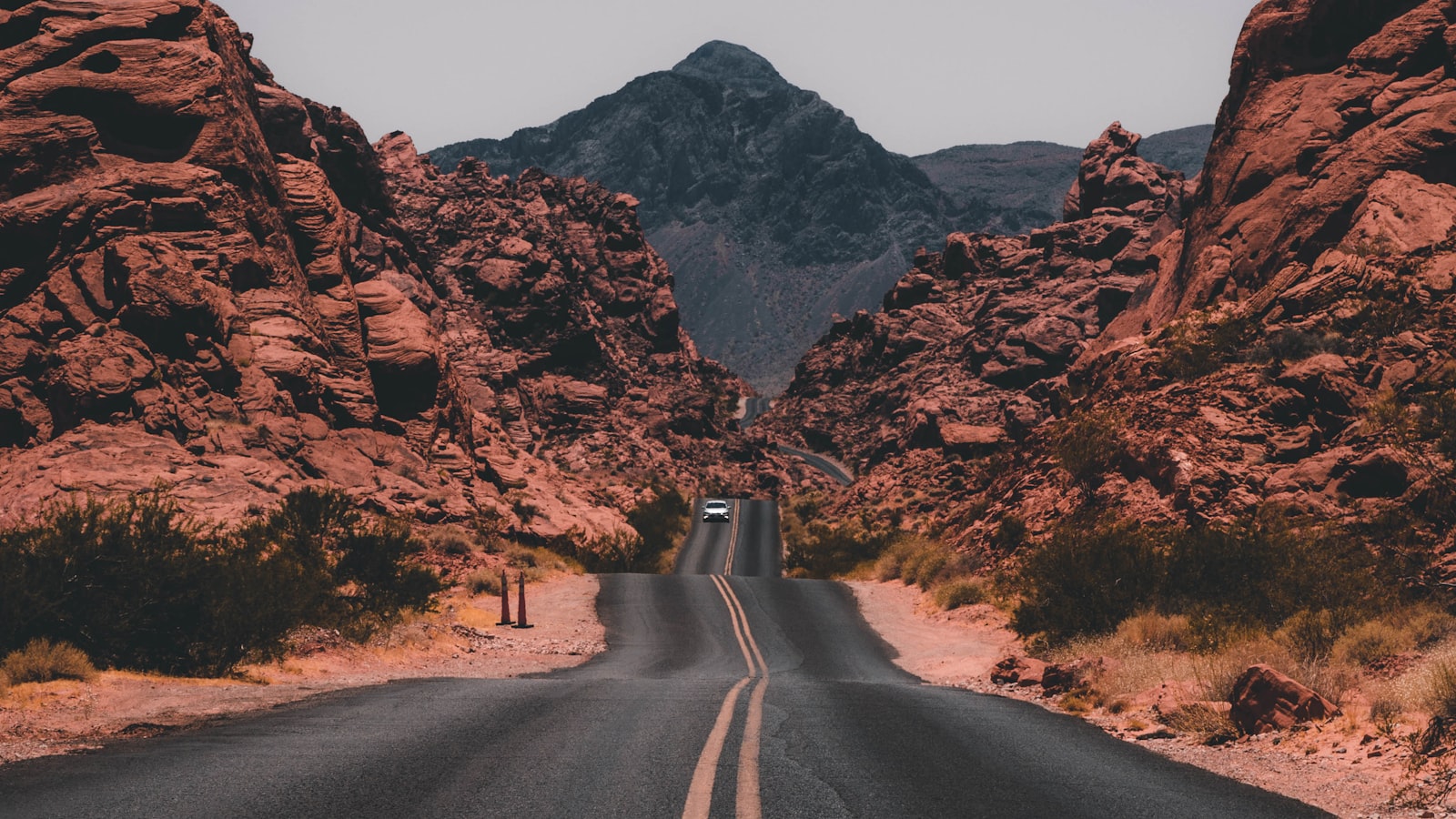 ⏳ The Anti-Productivity Guide: Embrace Your 4,000 Weeks