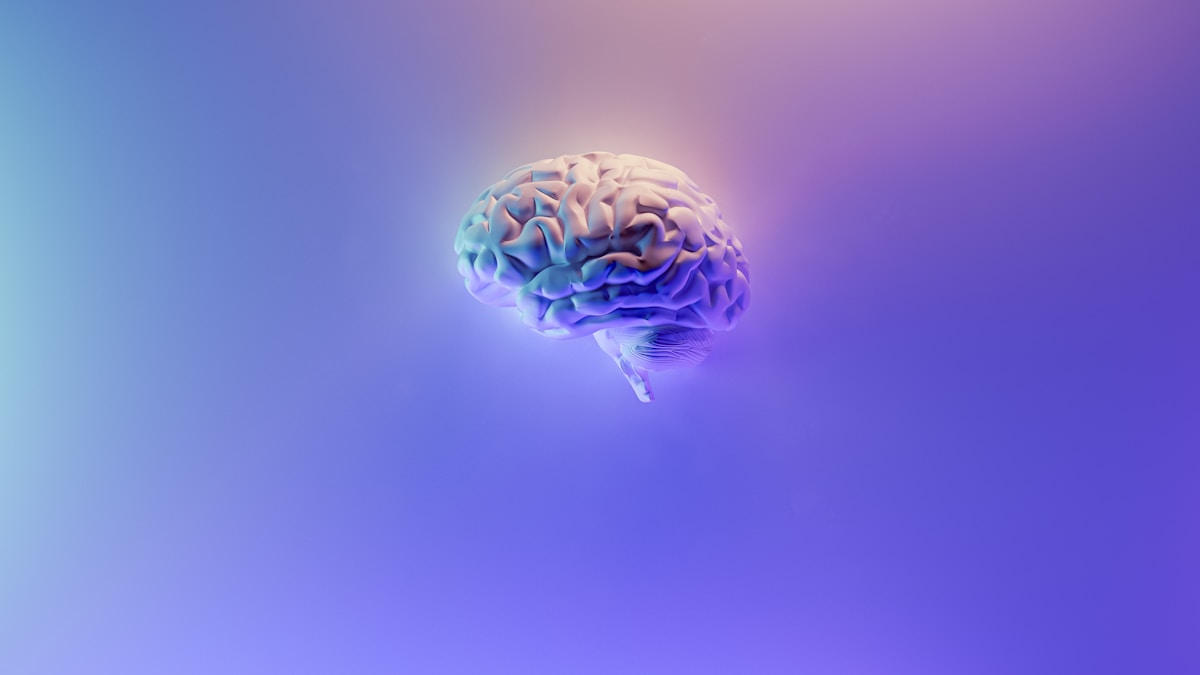 ADHD Dopamine Menu: Examples and a Simple Setup Plan