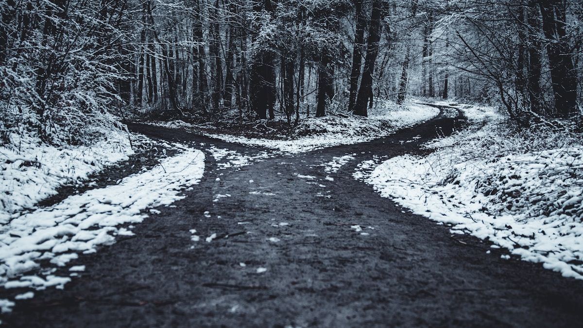 The ADHD Priority Paradox: Why Important Tasks Feel Hard